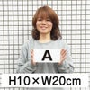 英字プレート H100×200mm