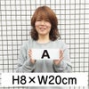 英字プレート H80×200mm