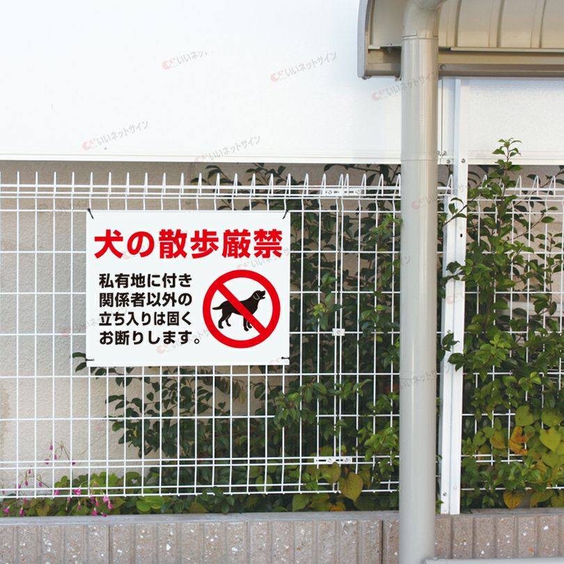 パネル