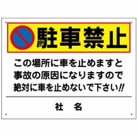 駐車禁止