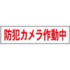 防犯カメラ作動中
