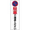 駐車禁止