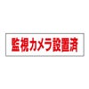 監視カメラ設置済