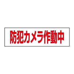 防犯カメラ作動中
