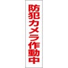 防犯カメラ作動中