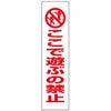 ここで遊ぶの禁止