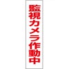 監視カメラ作動中