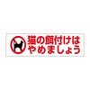 猫の餌付け禁止
