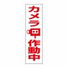 カメラ作動中