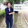  緑を大切に