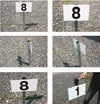 ネームプレート　駐車場