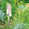 犬の糞尿対策