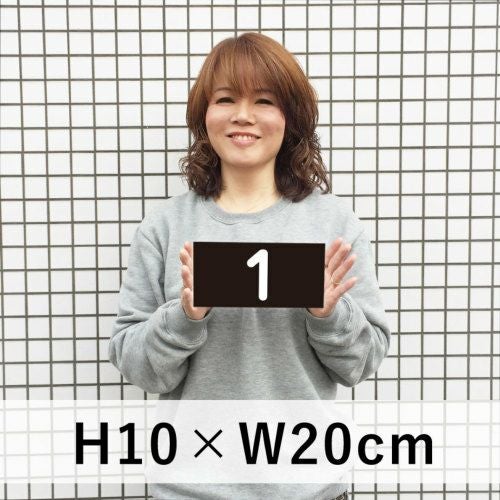 番号プレート ブラック 100×200mm