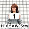 番号プレート 10枚セット 165×250mm