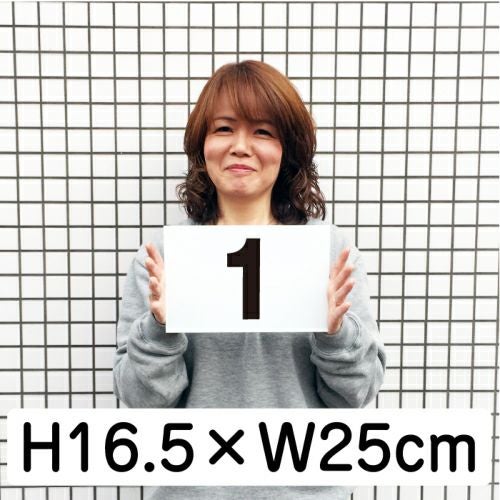 番号プレート 10枚セット 165×250mm
