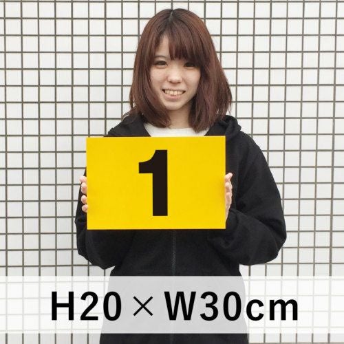 仮ナンバー 看板 プレート 16枚セット Yahoo!オークション - 「仮ナンバー」の落札相場・落札価格