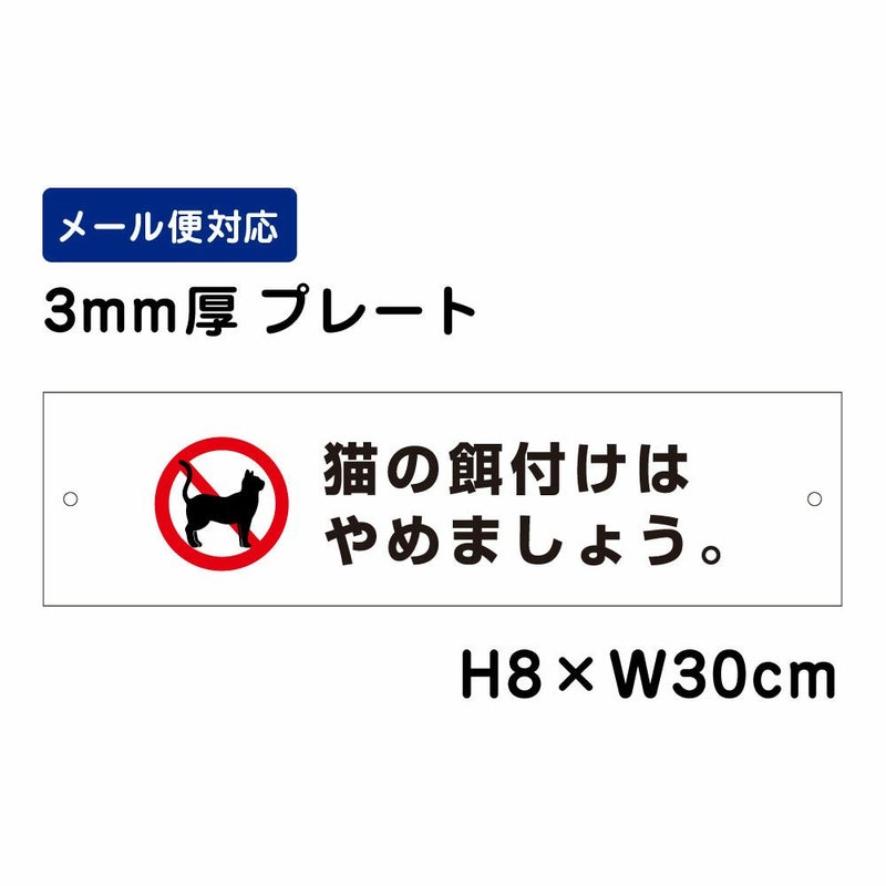 猫の餌付けはやめましょう