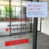 ウィンドウステッカー