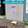 ホワイト ブラック