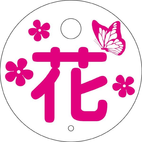 めくれナイト