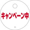 めくれナイト