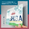 ドッグラン