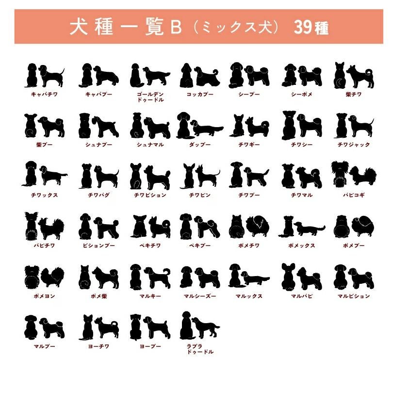 お出かけ