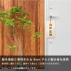 両面