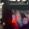 車 家 鍵
