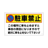 駐車禁止